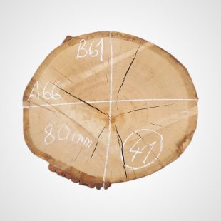 Dub 80 mm, koláč 41