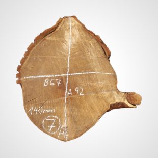 Topol očkový, koláč - 7