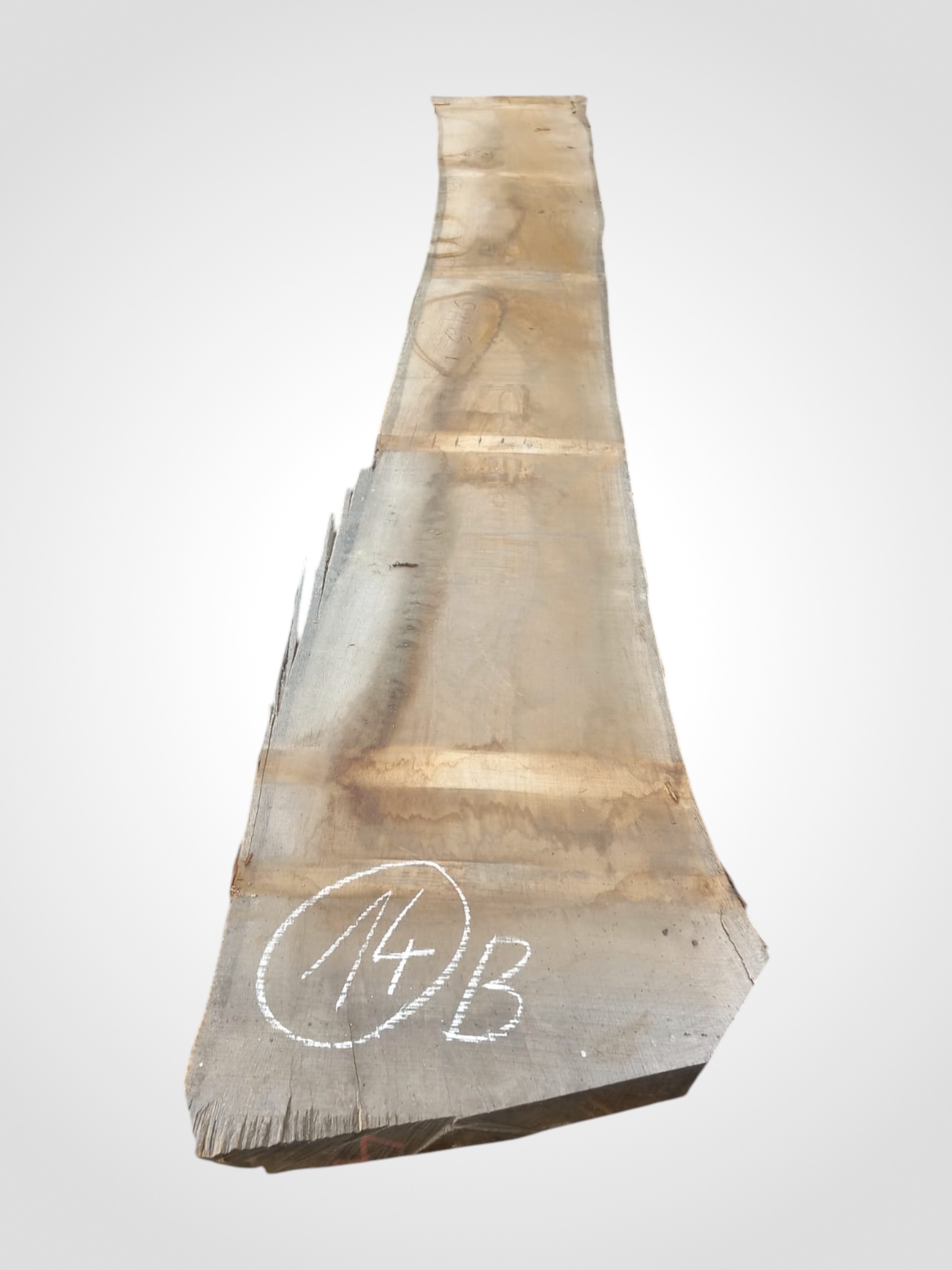 Dub 80/82 mm - 14