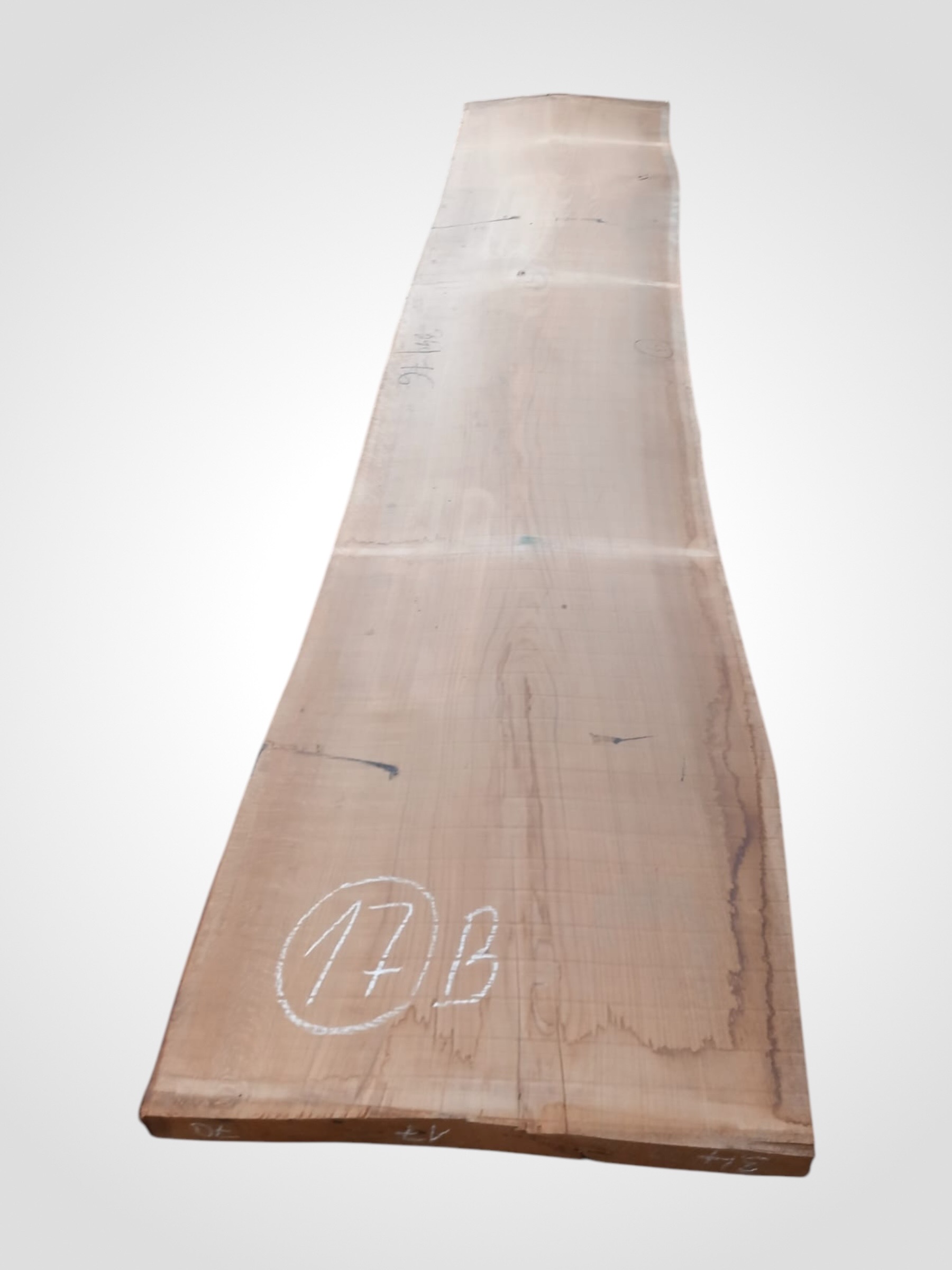 Dub 82 mm - 17