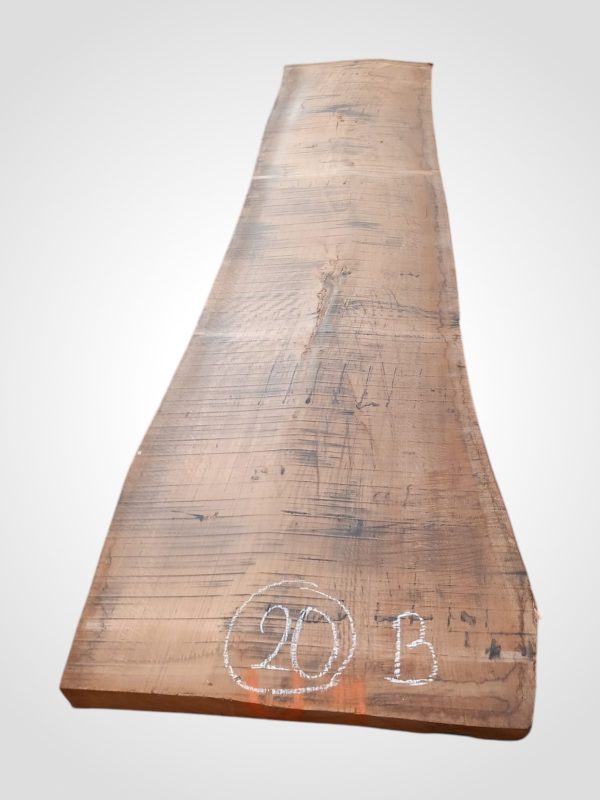 Dub 82 mm - 20