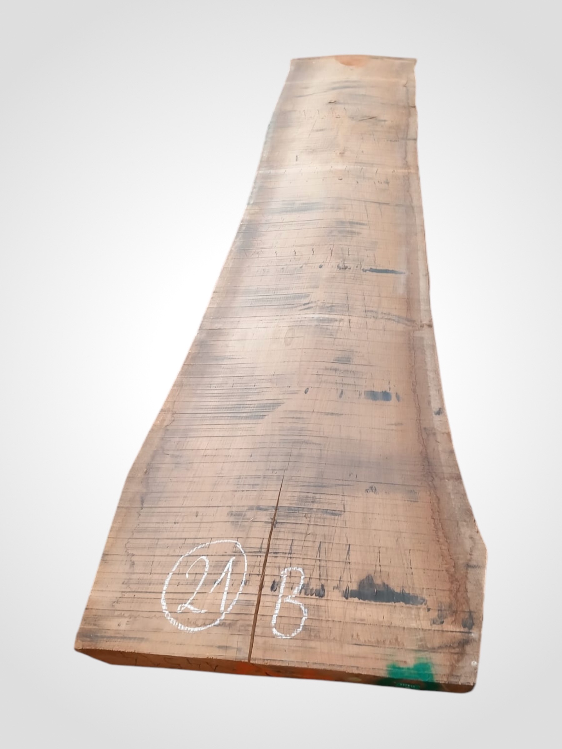 Dub 82 mm - 21