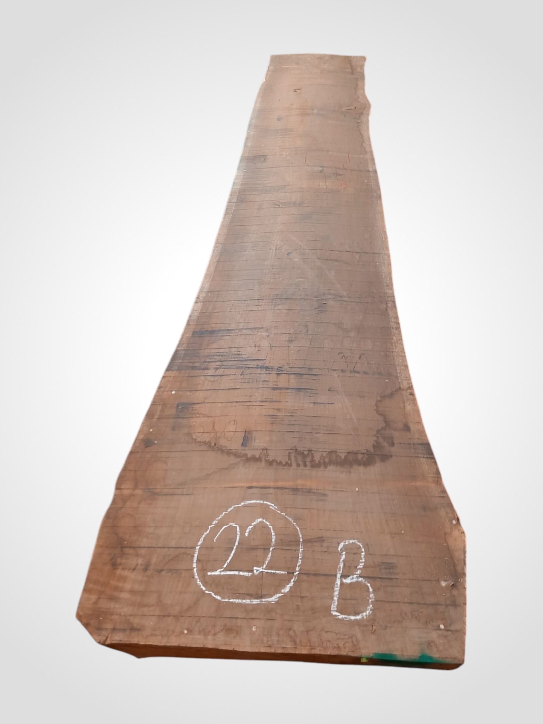 Dub 82 mm - 22