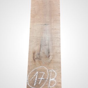 Javor očkový (Bird's Eye Maple) 52 mm - 17