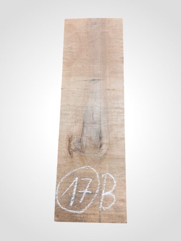 Javor očkový (Bird's Eye Maple) 52 mm - 17
