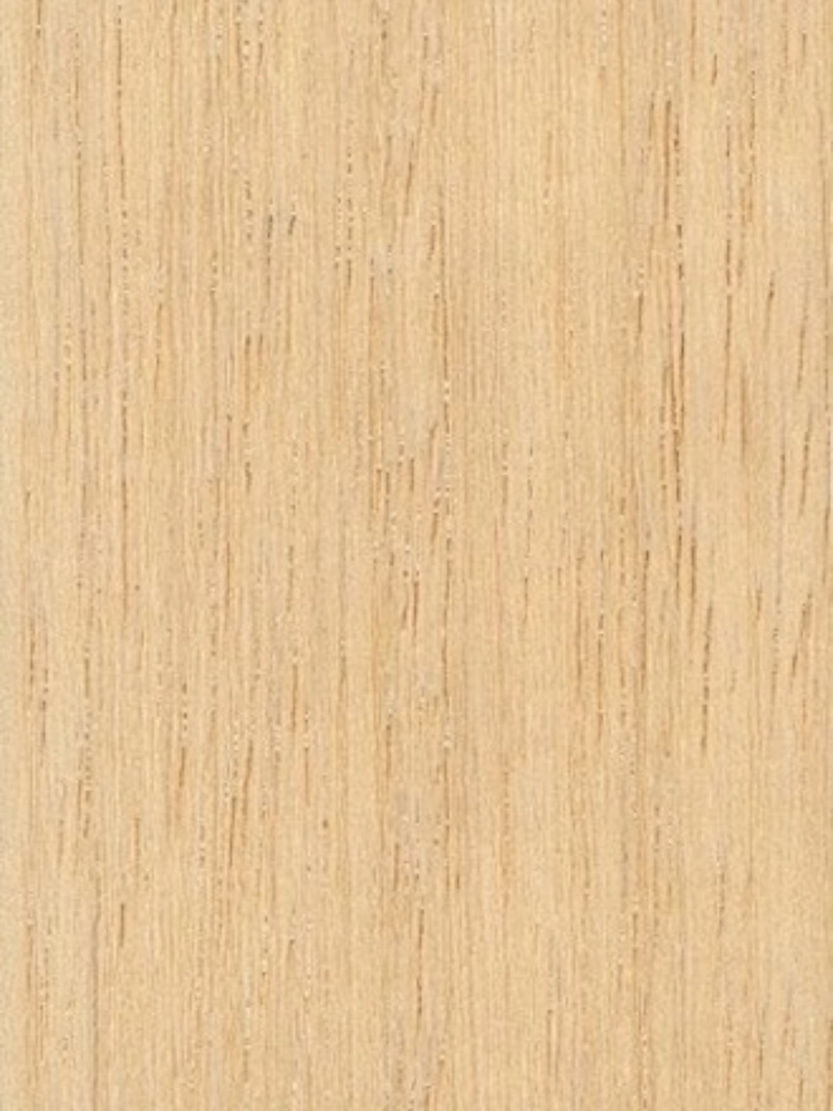 Koto - detail