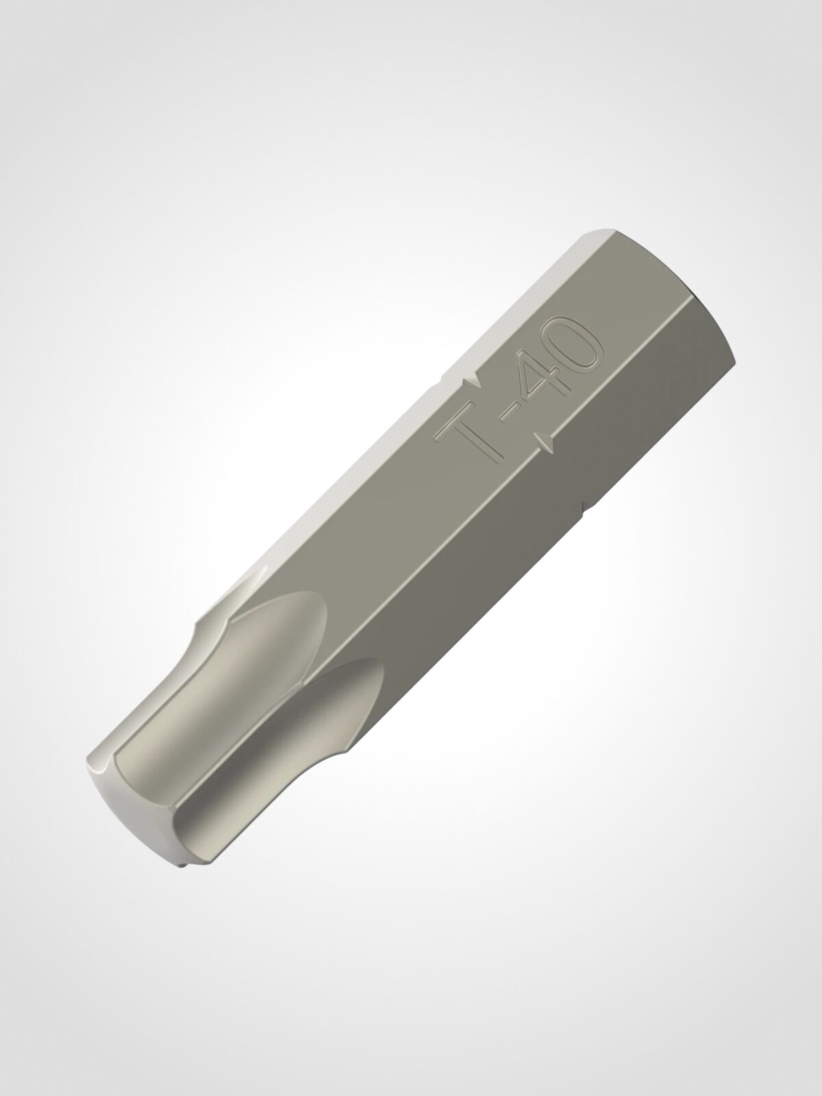 Hrot Torx TX40