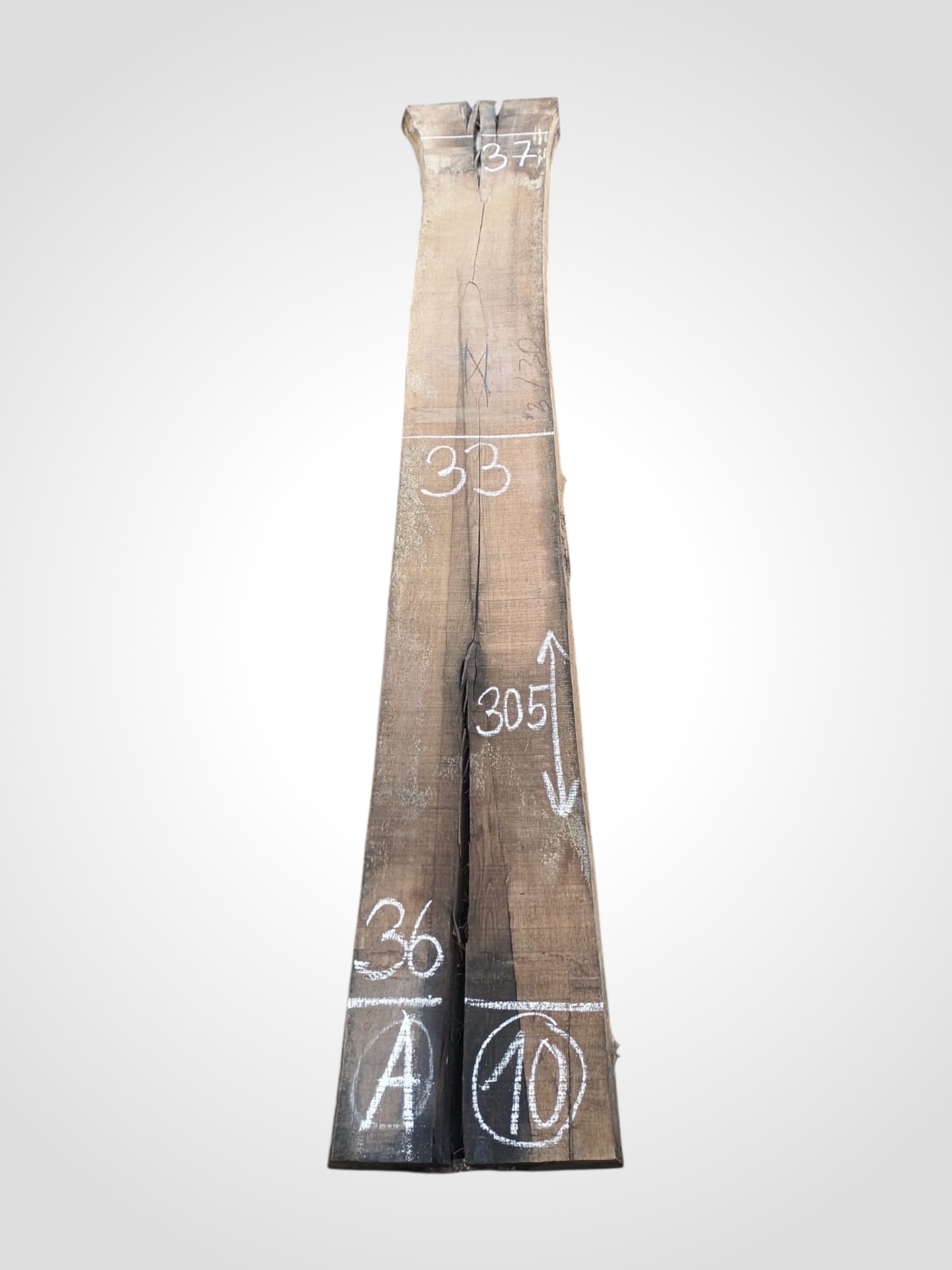 Ořech americký 80/82 mm - 10