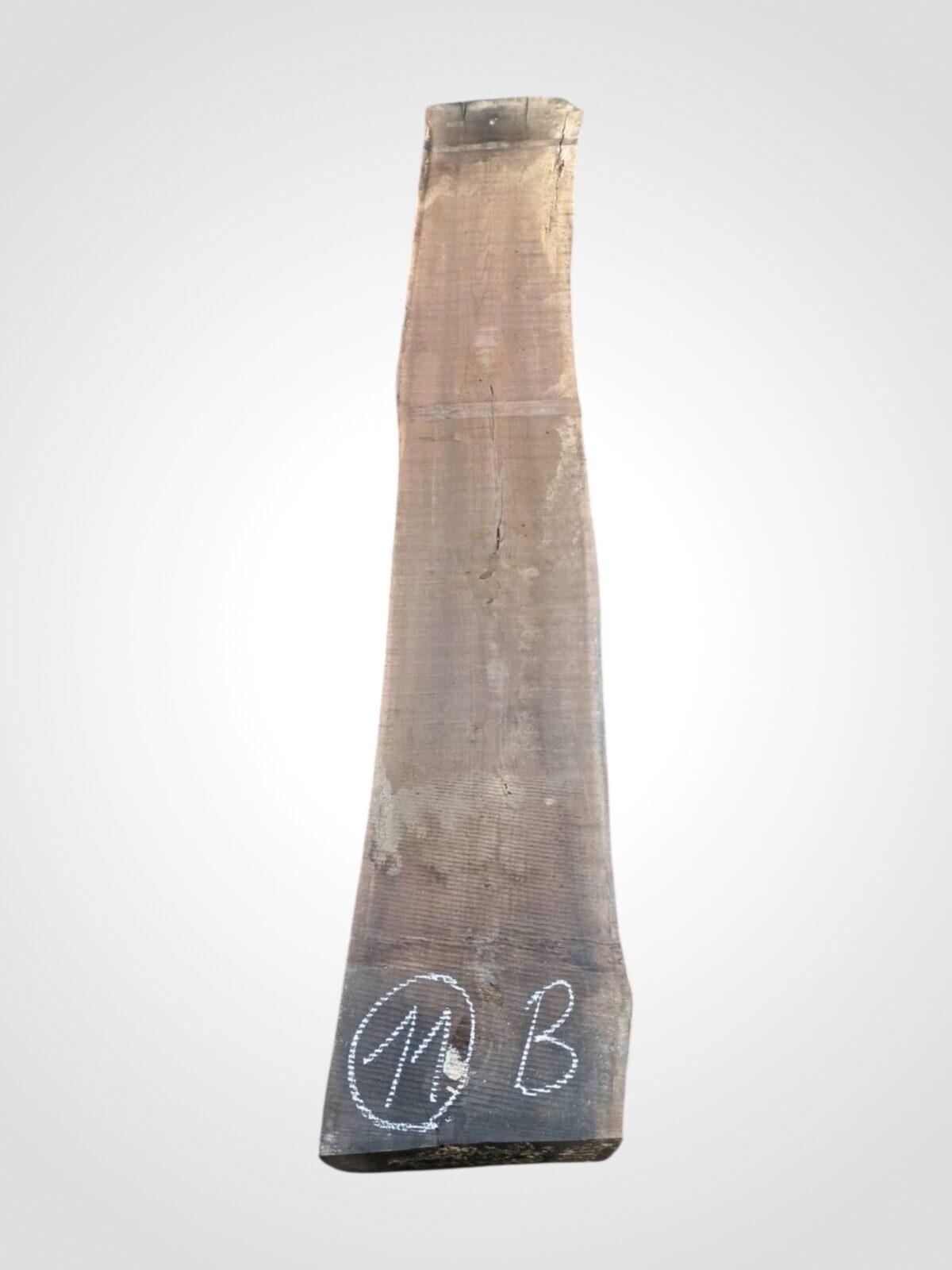 Ořech americký 80/82 mm - 11