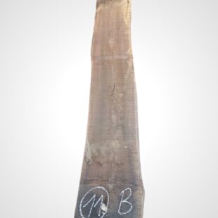 Ořech americký 80/82 mm - 11