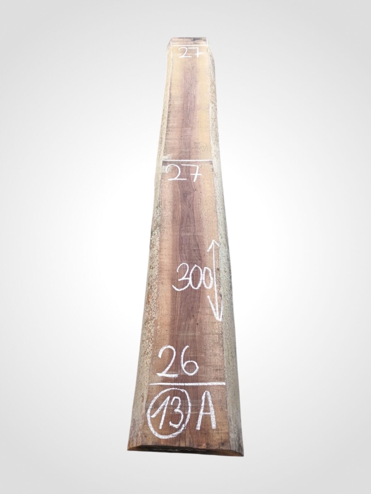 Ořech americký 80/82 mm - 13