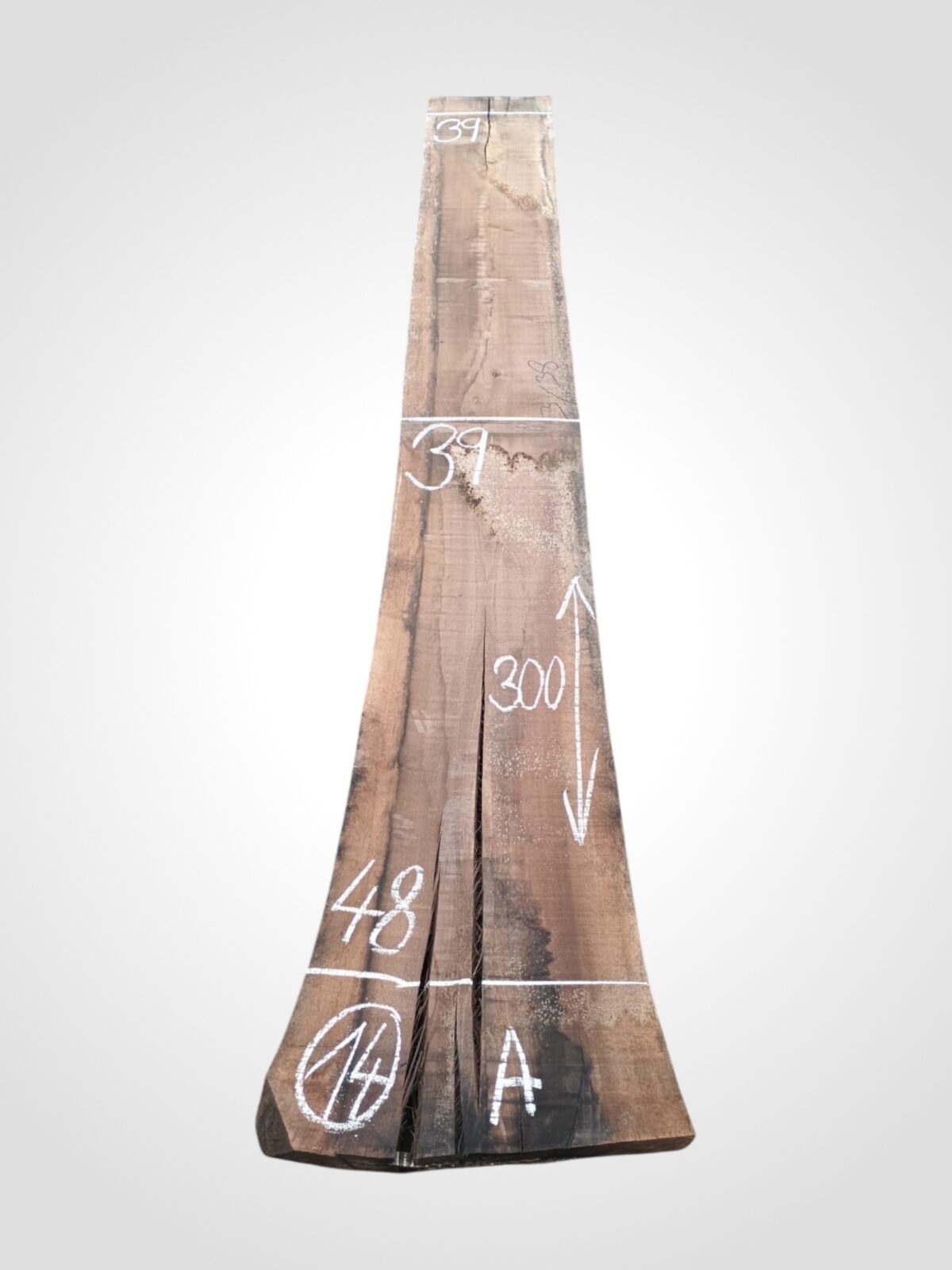 Ořech americký 80/82 mm - 14