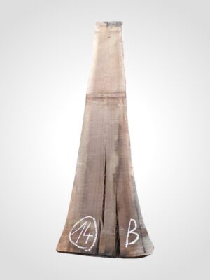 Ořech americký 80/82 mm - 14