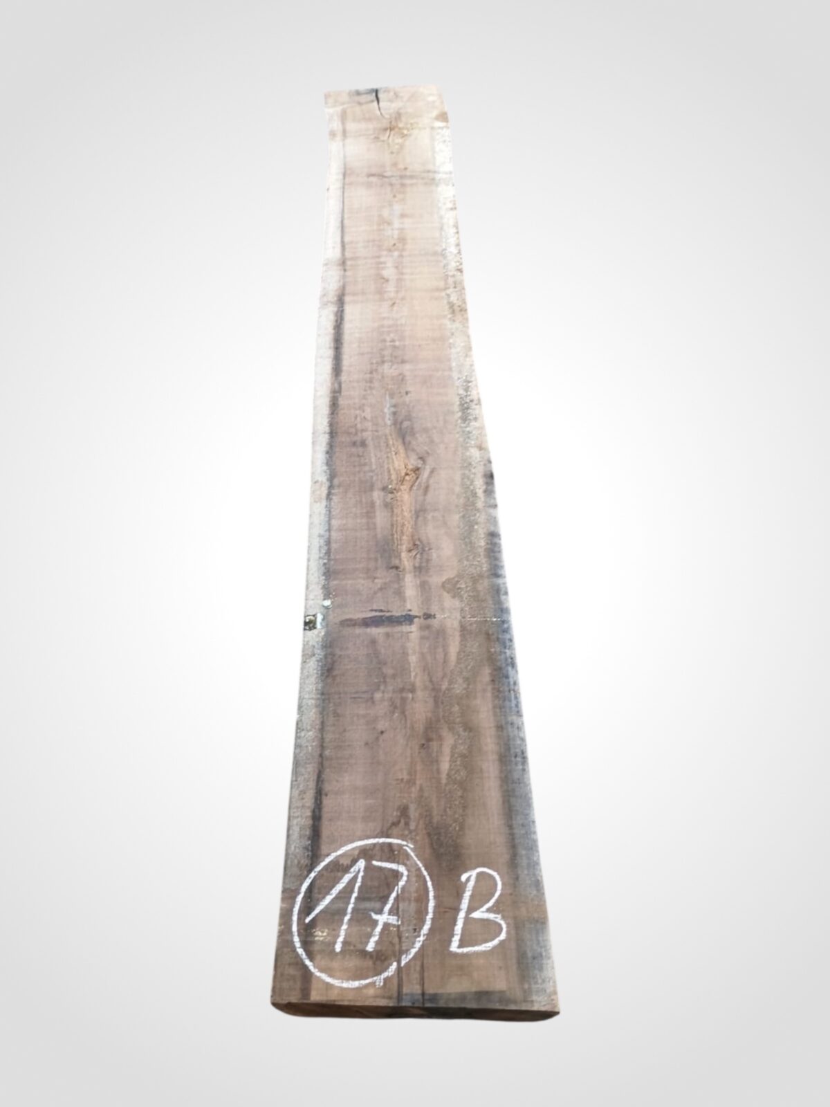 Ořech americký 80/82 mm - 17