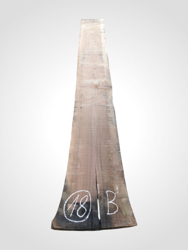 Ořech americký 80/82 mm - 18