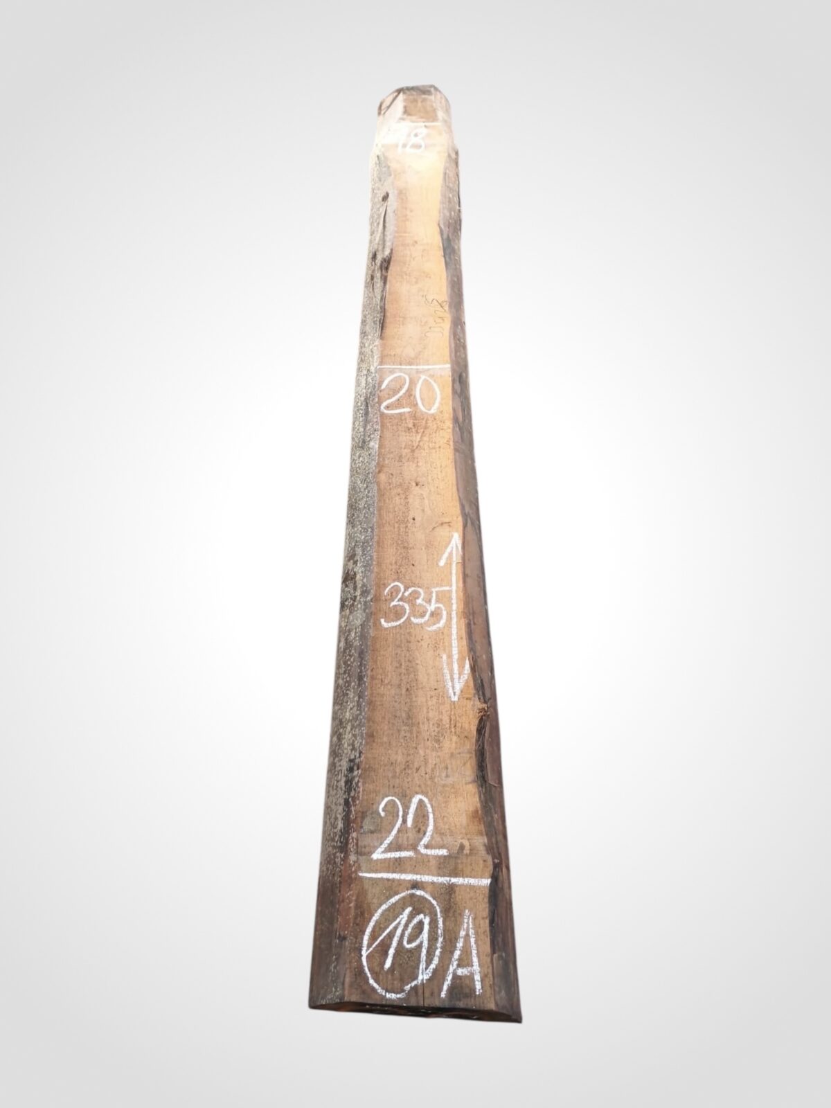 Ořech americký 80/82 mm - 19