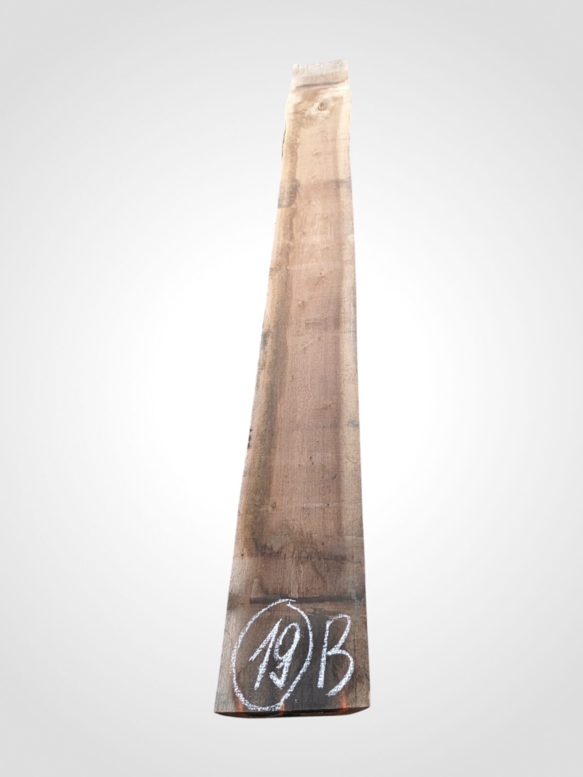 Ořech americký 80/82 mm - 19