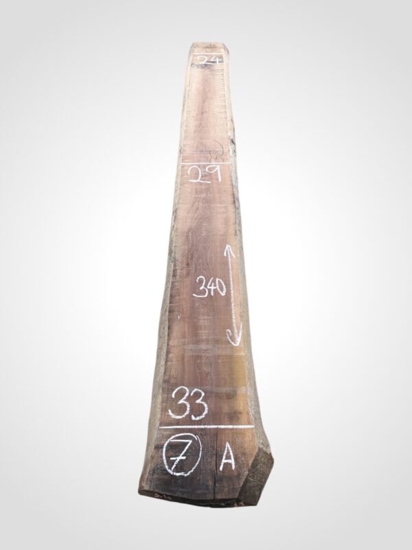 Ořech americký 80/82 mm - 7