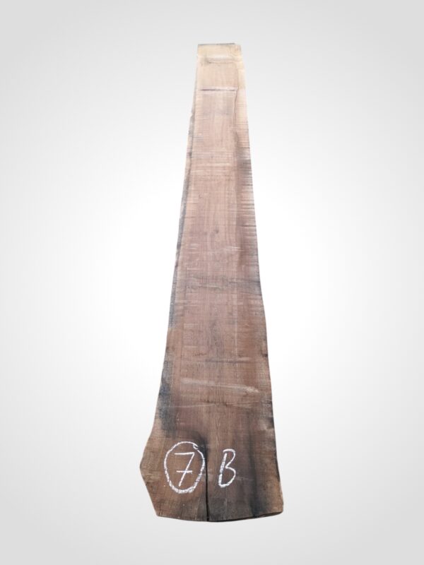 Ořech americký 80/82 mm - 7