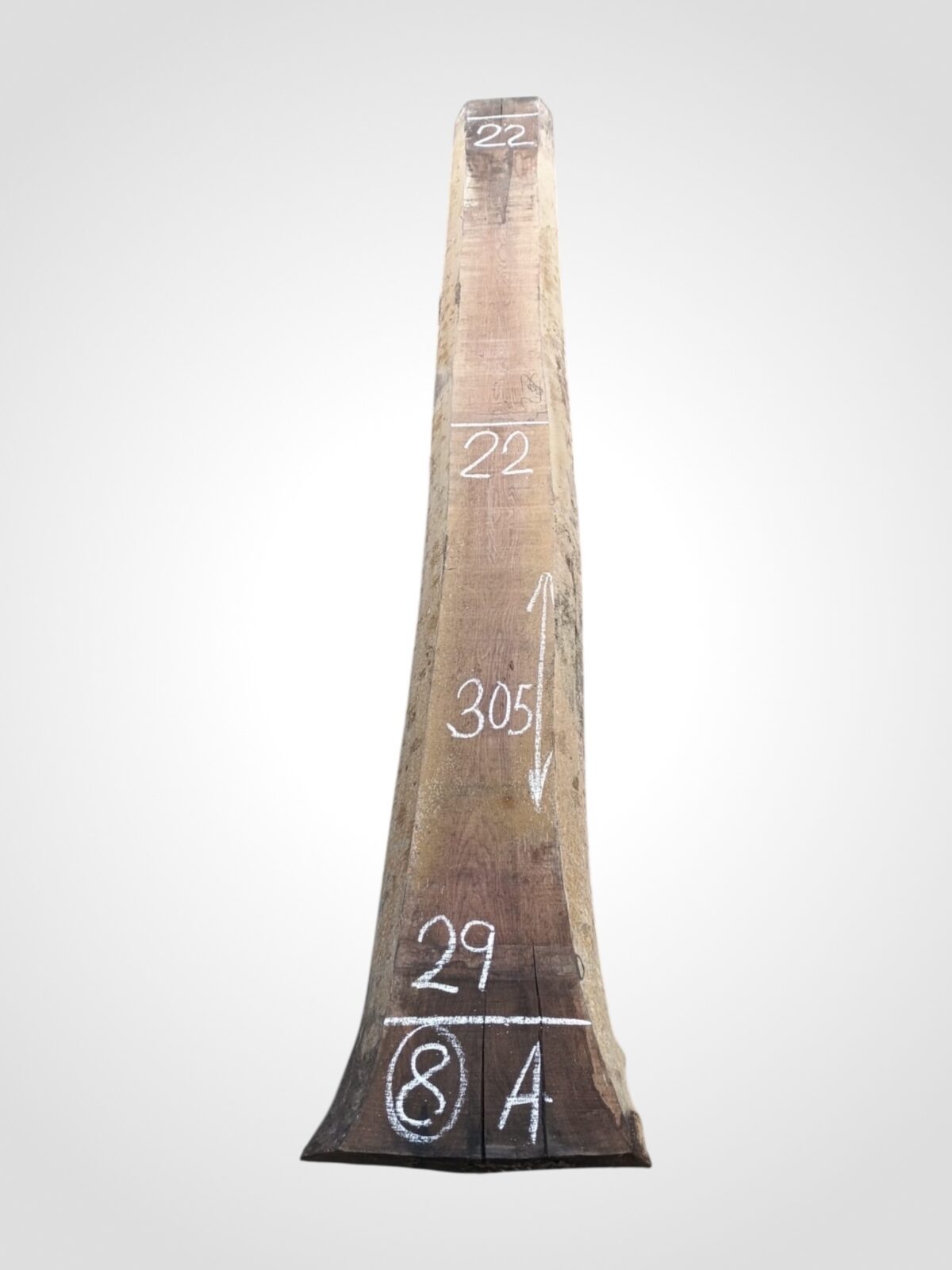 Ořech americký 80/82 mm - 8