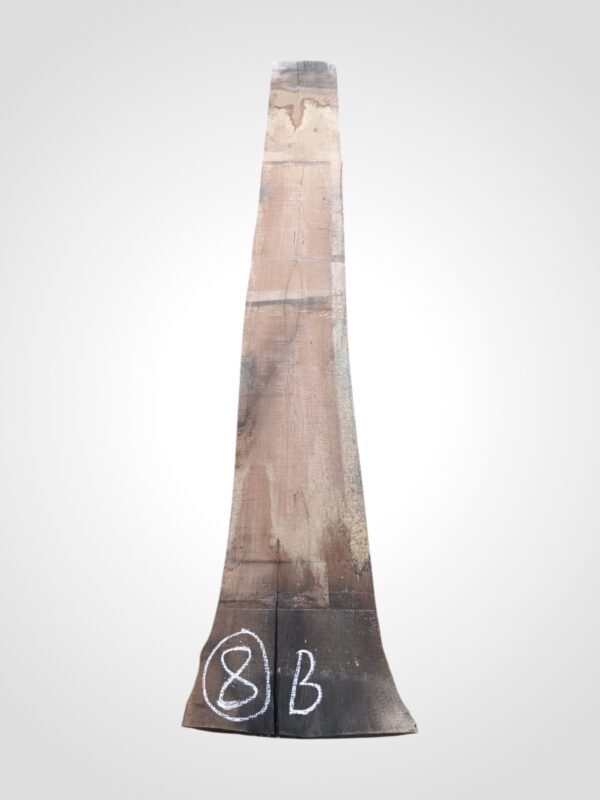 Ořech americký 80/82 mm - 8