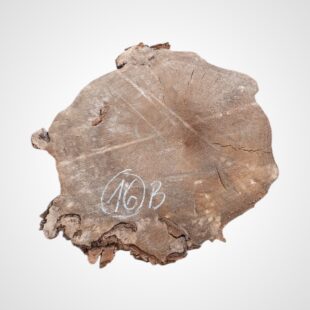 Topol očkový, koláč - 16