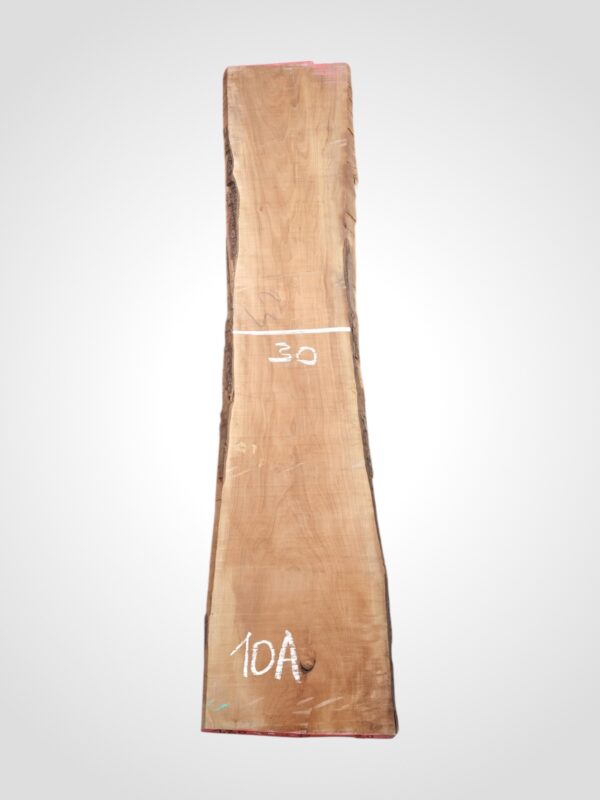 Hruška pařená 33 mm - 10