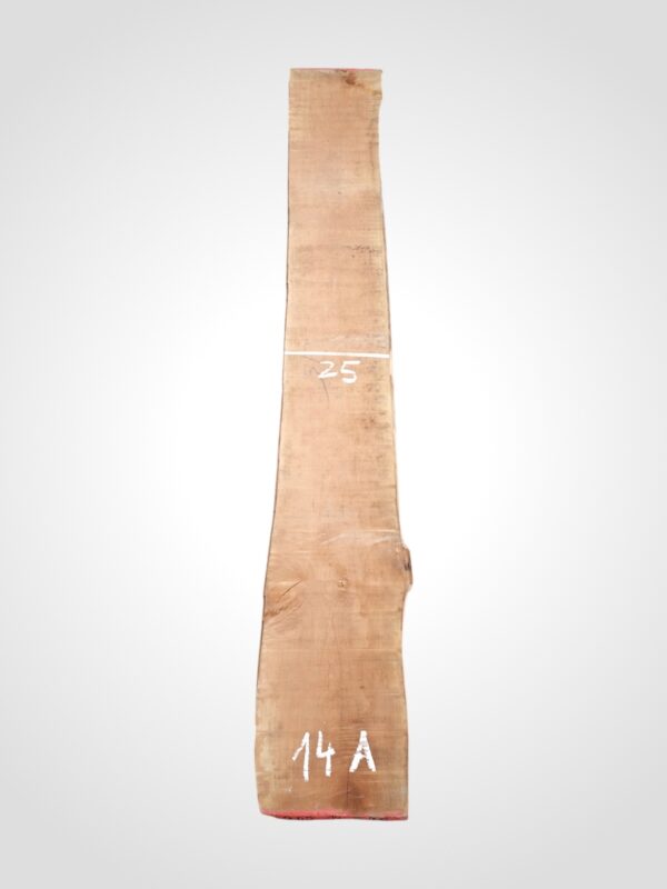 Hruška pařená 33 mm - 14