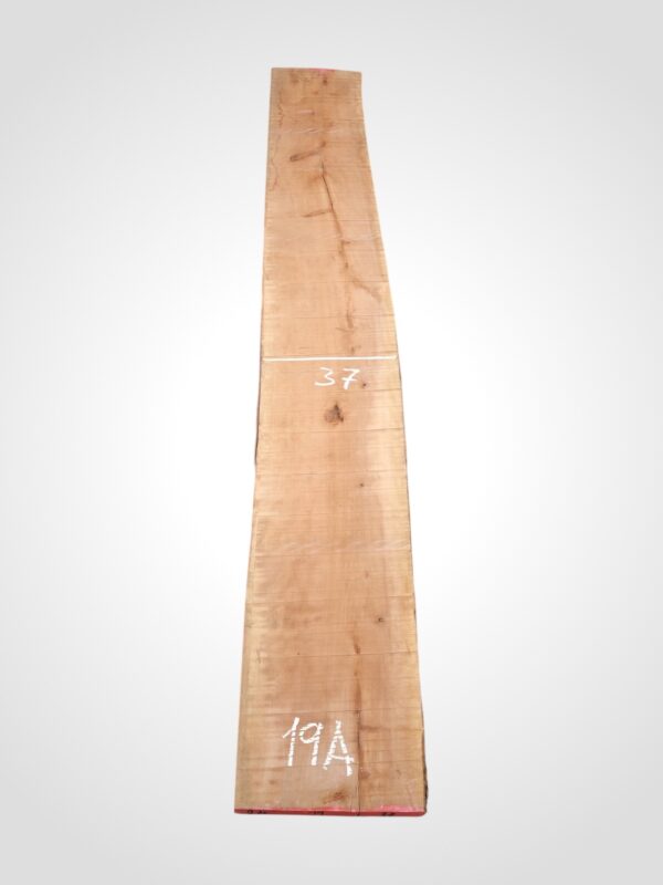 Hruška pařená 33 mm - 19