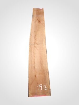 Hruška pařená 33 mm - 19