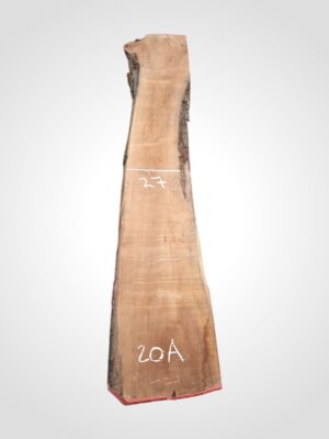 Hruška pařená 33 mm - 20