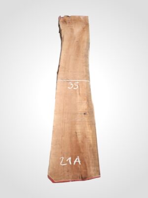 Hruška pařená 33 mm - 21