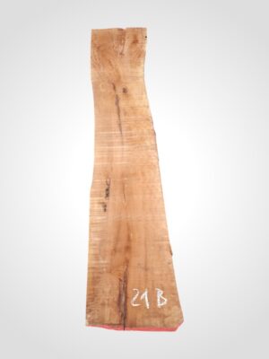 Hruška pařená 33 mm - 21