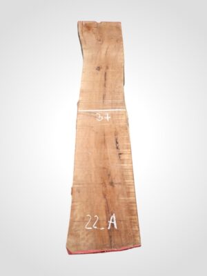 Hruška pařená 33 mm - 22