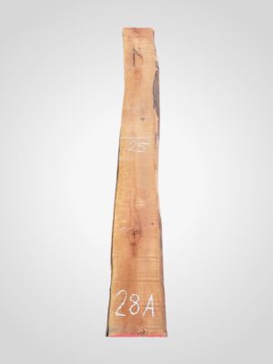 Hruška pařená 33 mm - 28