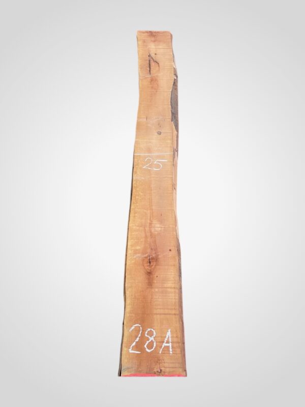 Hruška pařená 33 mm - 28