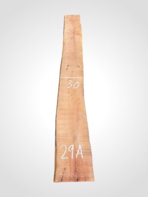 Hruška pařená 33 mm - 29