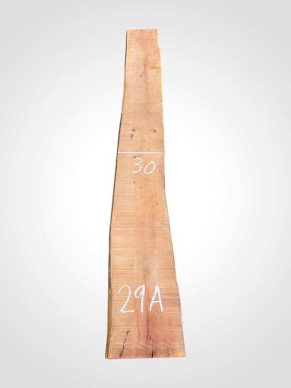 Hruška pařená 33 mm - 29