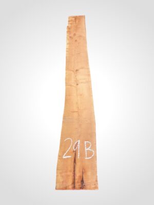 Hruška pařená 33 mm - 29