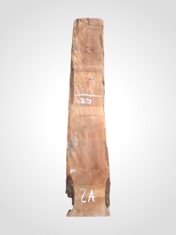 Hruška pařená 33 mm - 2