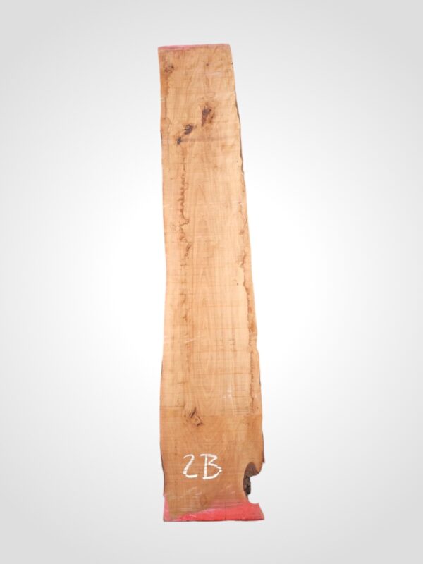Hruška pařená 33 mm - 2