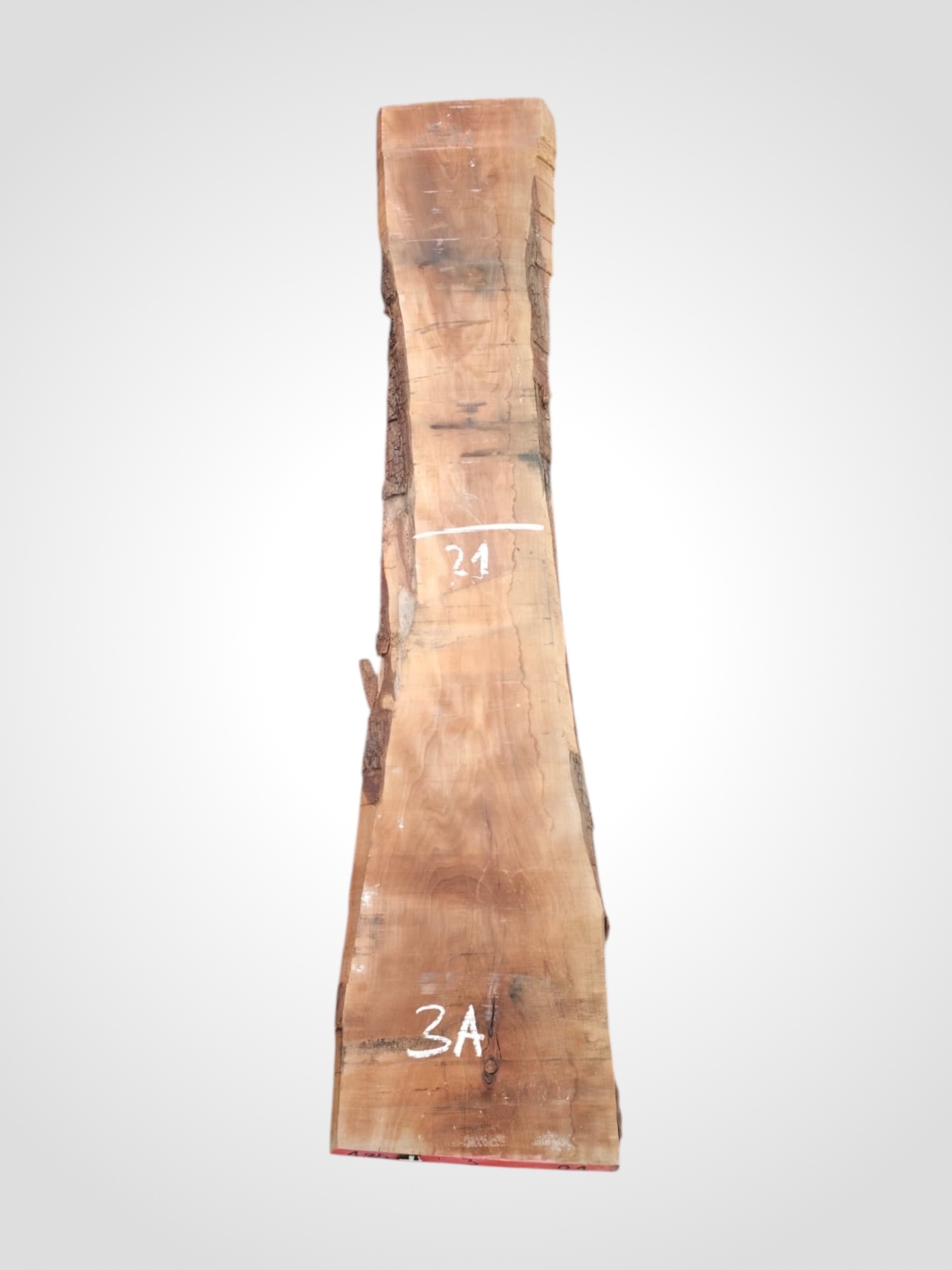 Hruška pařená 33 mm - 3