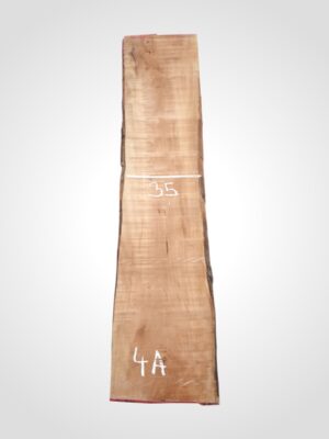 Hruška pařená 33 mm - 4