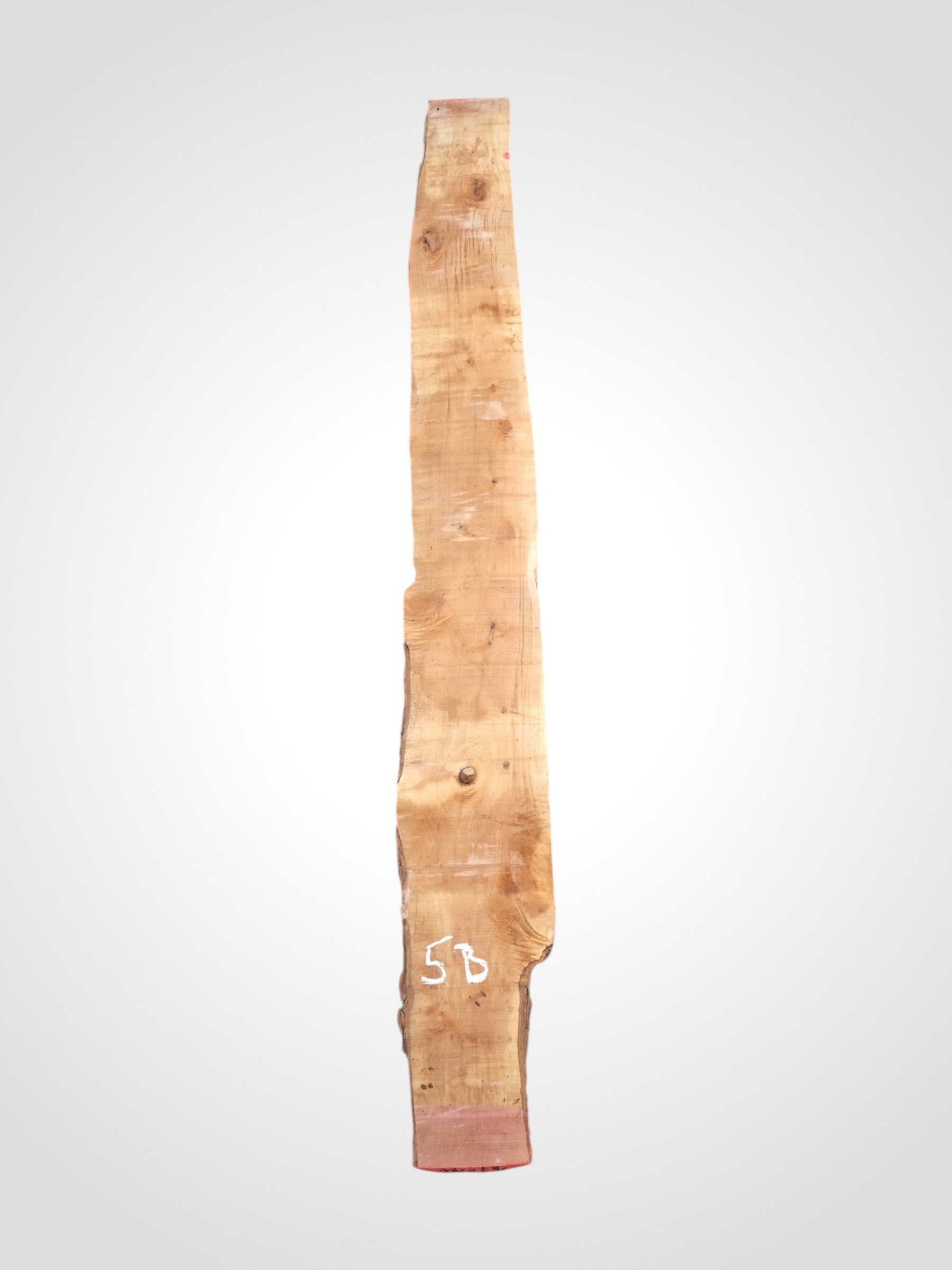 Hruška pařená 33 mm - 5