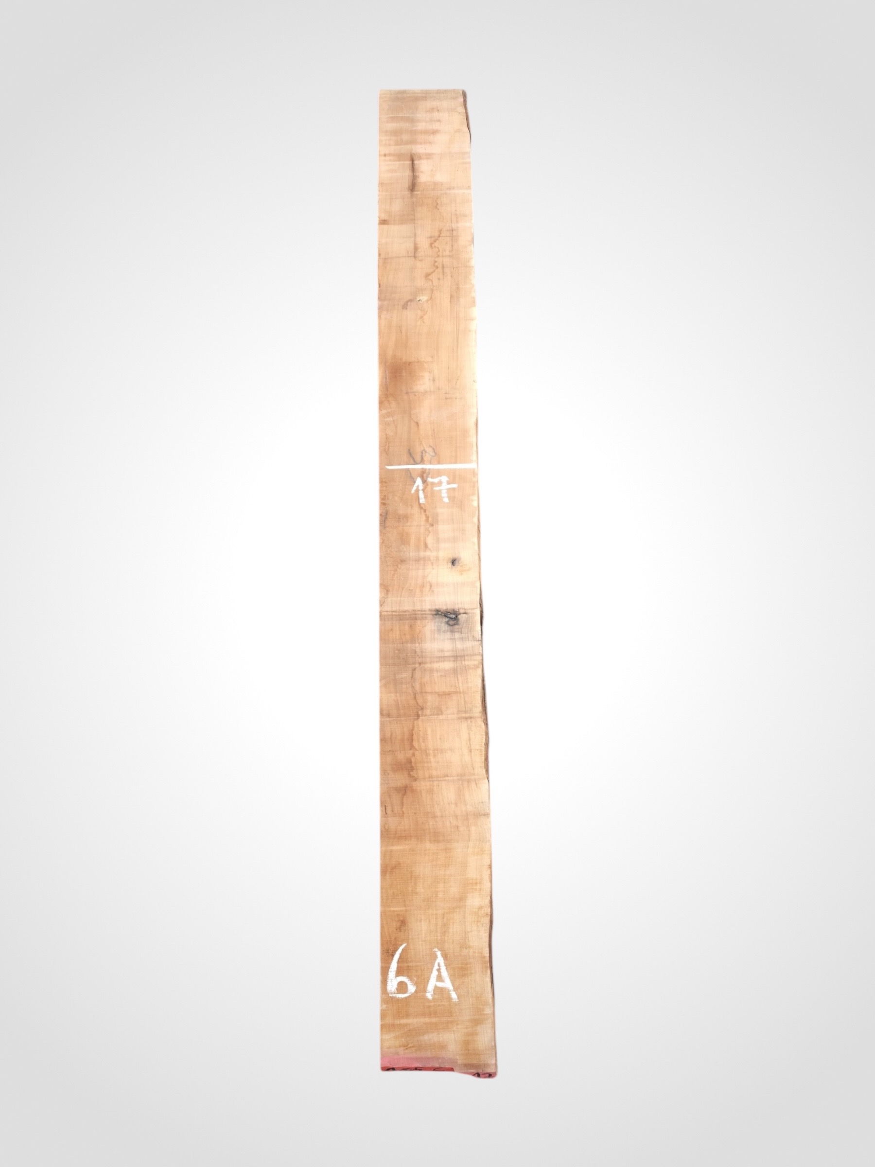 Hruška pařená 33 mm - 6