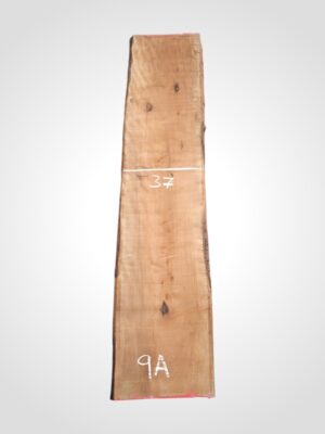 Hruška pařená 33 mm - 9