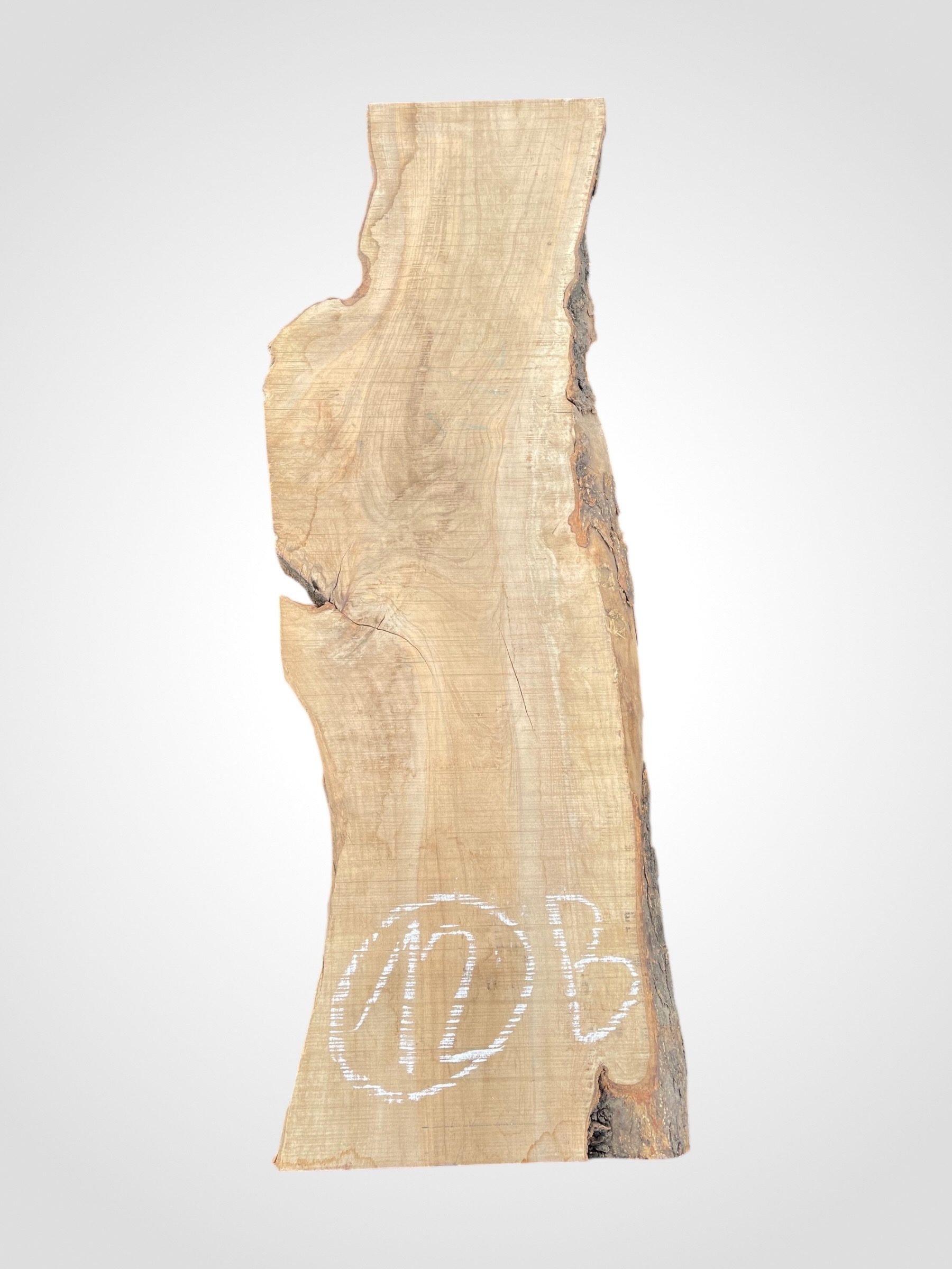 Oliva-42-12b Oliva 42 mm - 12