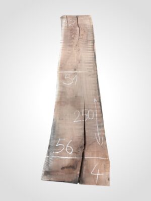 Ořech americký 60/62 - 4