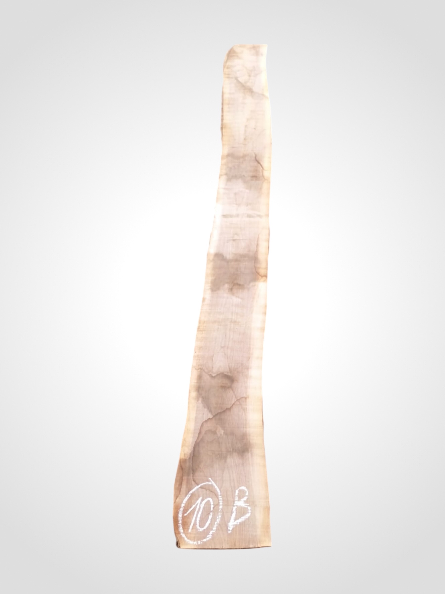 Ořech černý 50/52 mm - 10