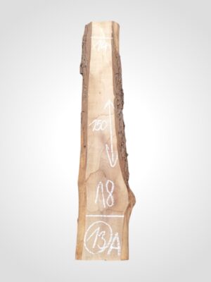 Ořech černý 50/52 mm - 13